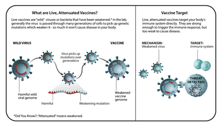 TOPIC : UNDERSTANDING VACCINE TECHNOLOGIES - Lukmaan IAS Editorials