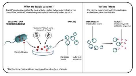 TOPIC : UNDERSTANDING VACCINE TECHNOLOGIES - Lukmaan IAS Editorials