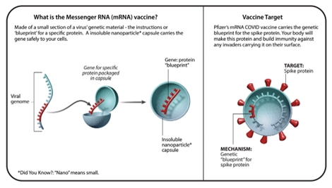 TOPIC : UNDERSTANDING VACCINE TECHNOLOGIES - Lukmaan IAS Editorials